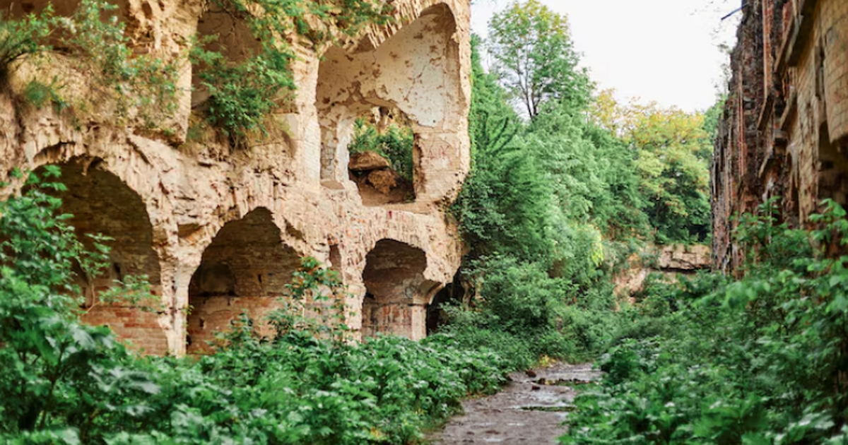 Междисциплинарное исследование раскрывает демог...