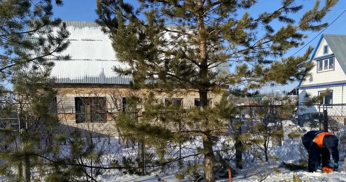 В Самарской области будут судить мужчину за убийство и расчленение знакомого Следствием собрана достаточная доказательственн...