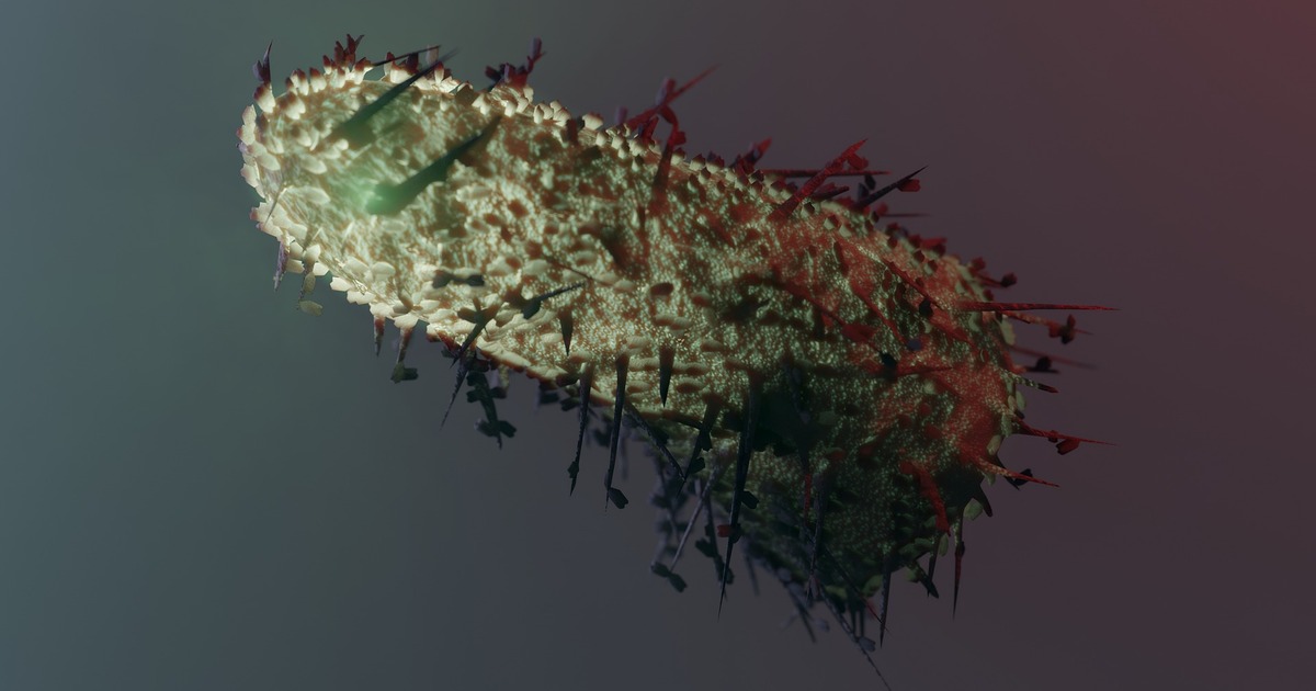 Срок карантина установлен в 60 дней