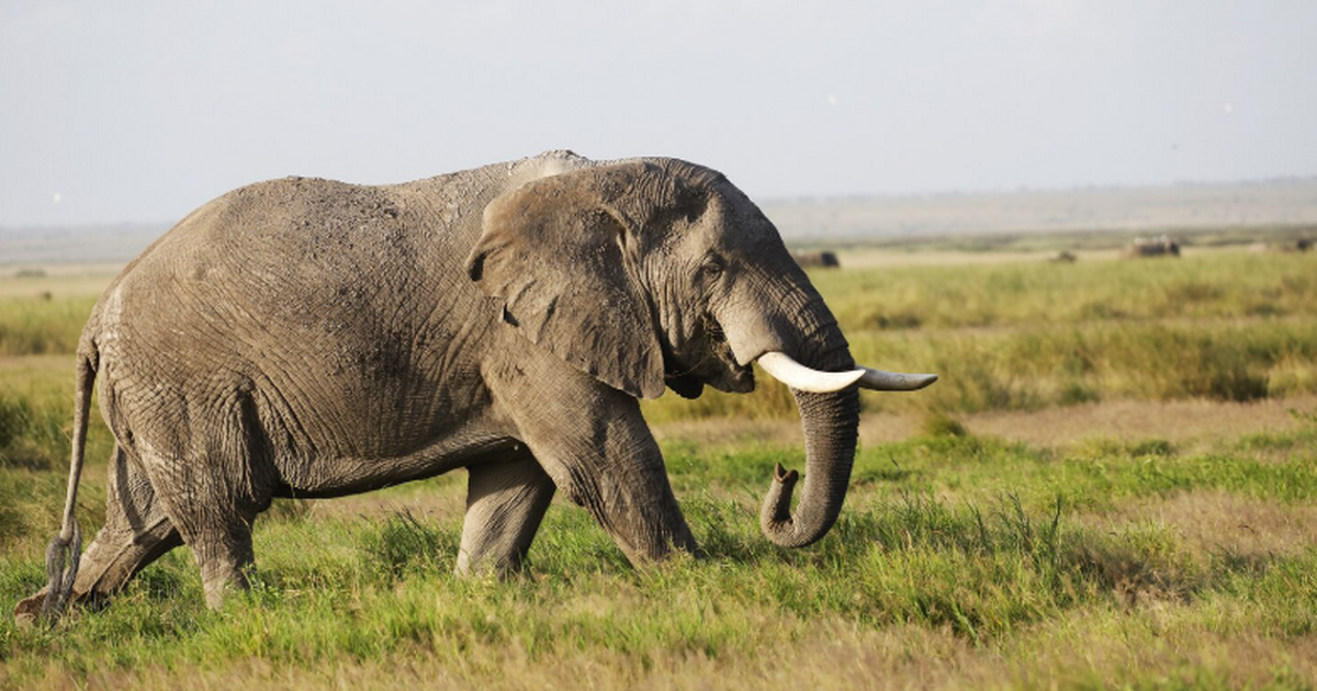 Палеонтолог Вадим Титов заявил, что уникальные ...