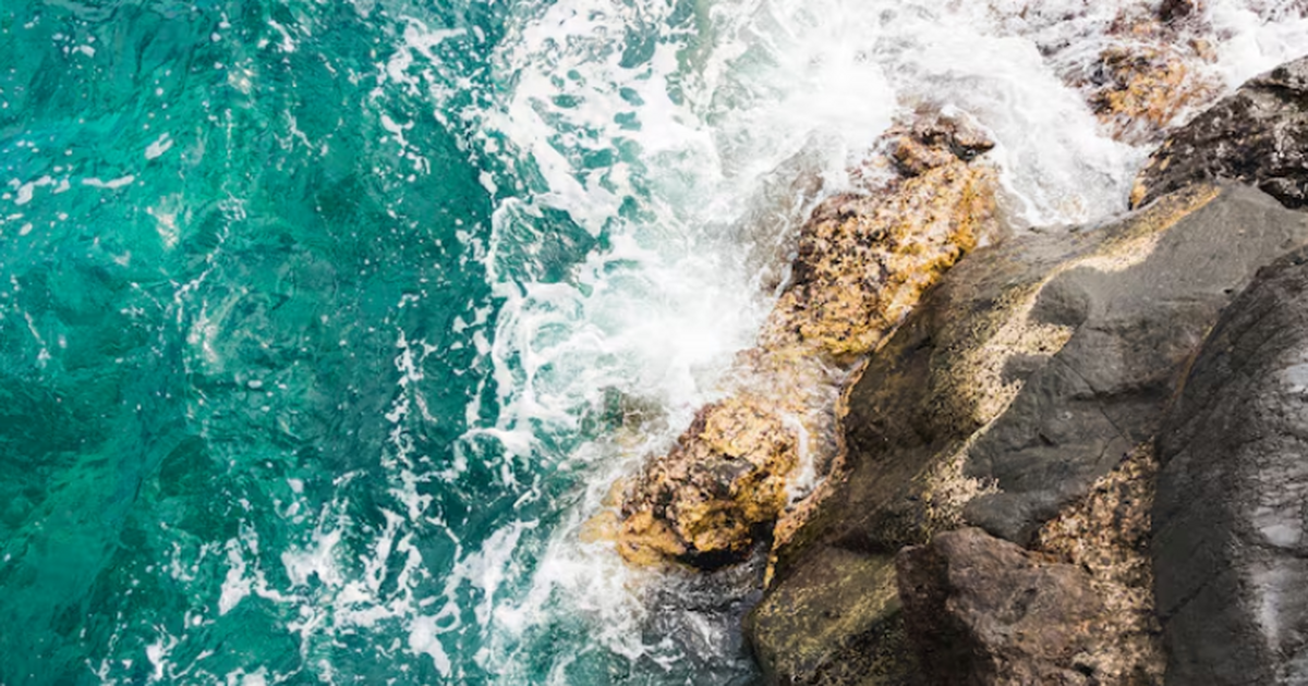 Российские и китайские ученые усиливают совмест...