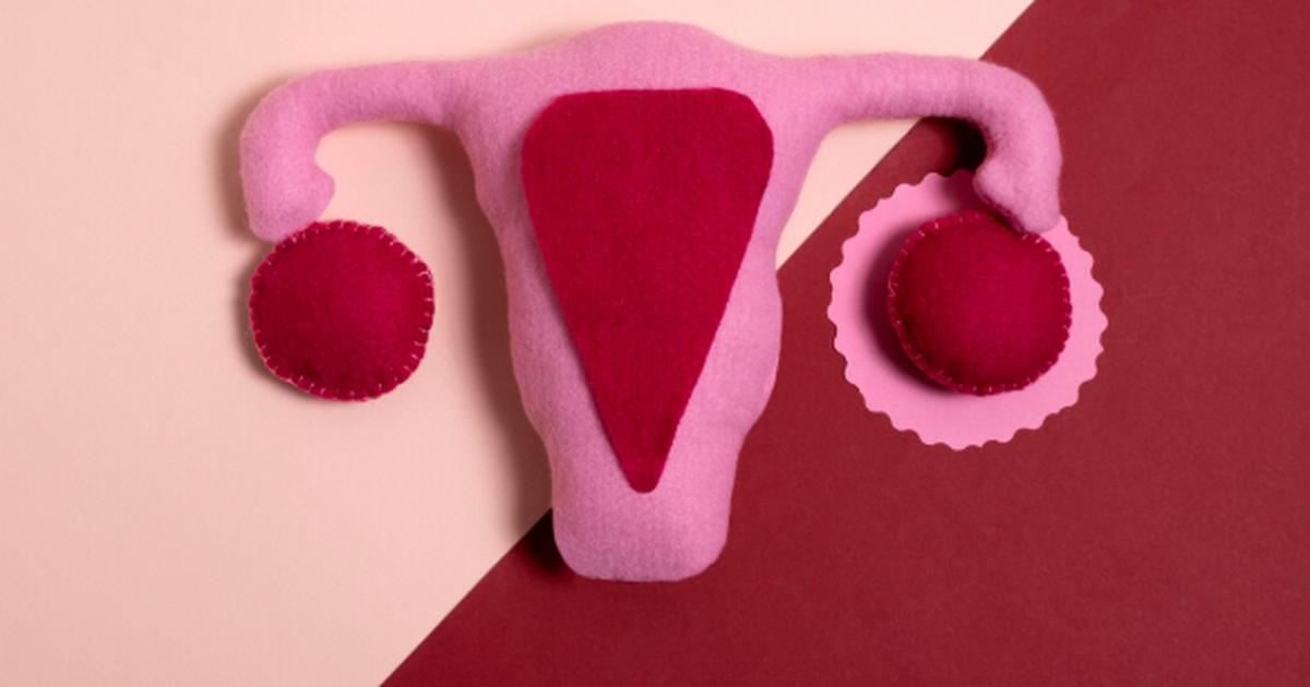 Что изменится в диспансеризации репродуктивного здоровья в России с 2026 года С 2026 года программа диспансеризации репродукт...