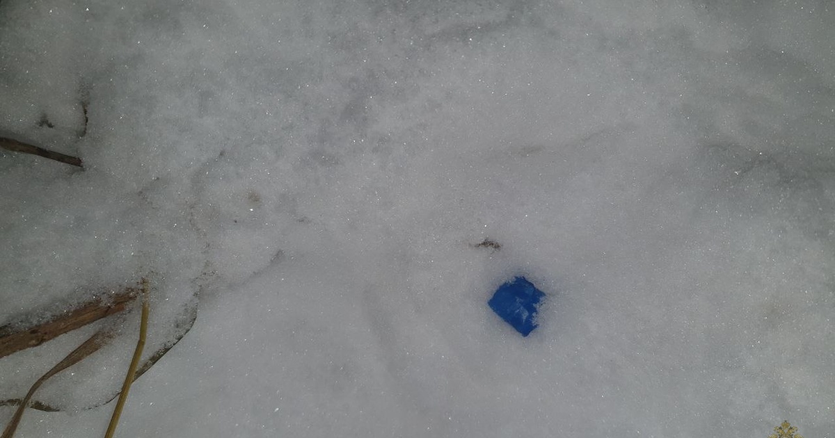 Расследование правонарушения продолжается