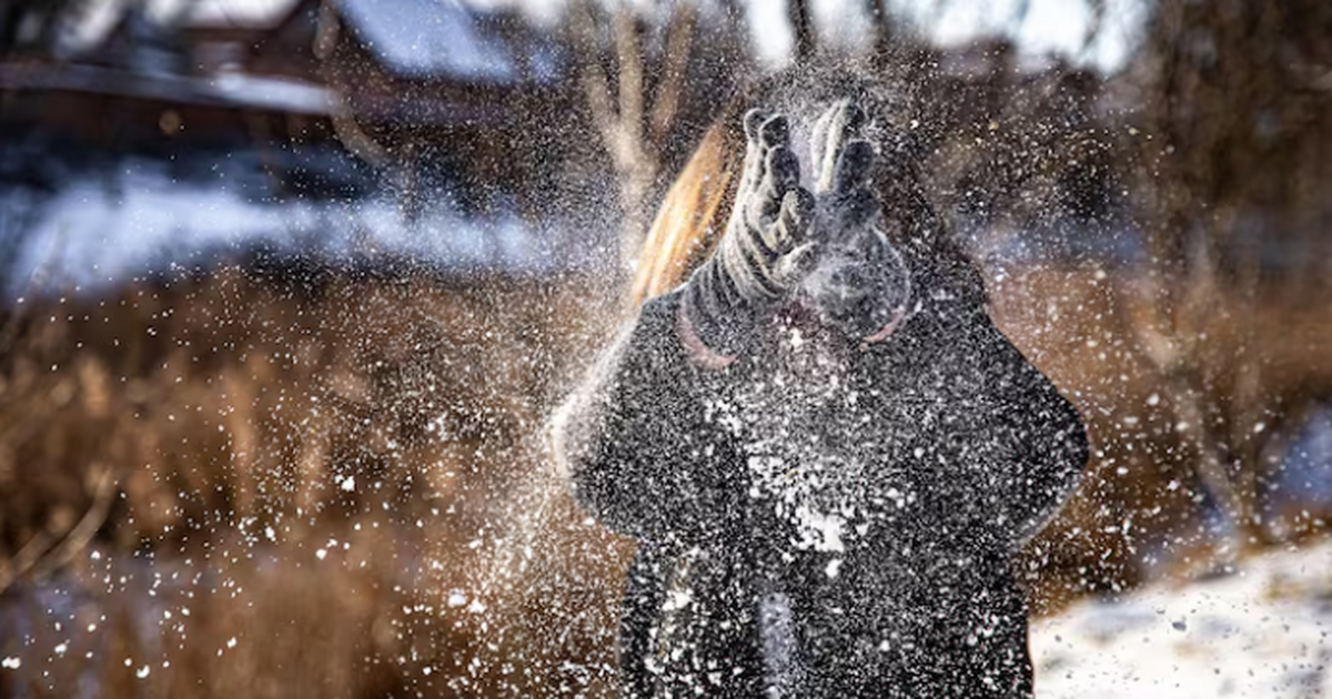 Зима отменяется: Когда Москва наконец увидит сн...