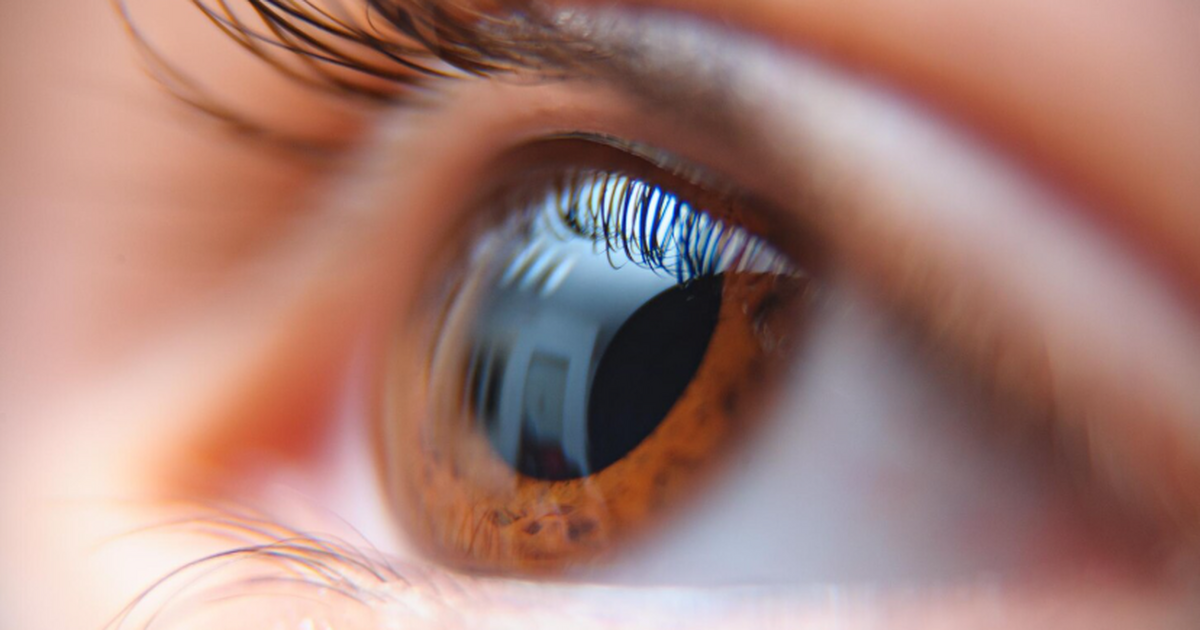 Напечатанная на 3D-принтере роговица вернула зрение женщине со слепотой Учёные сообщили о первой успешной пересадке нап...