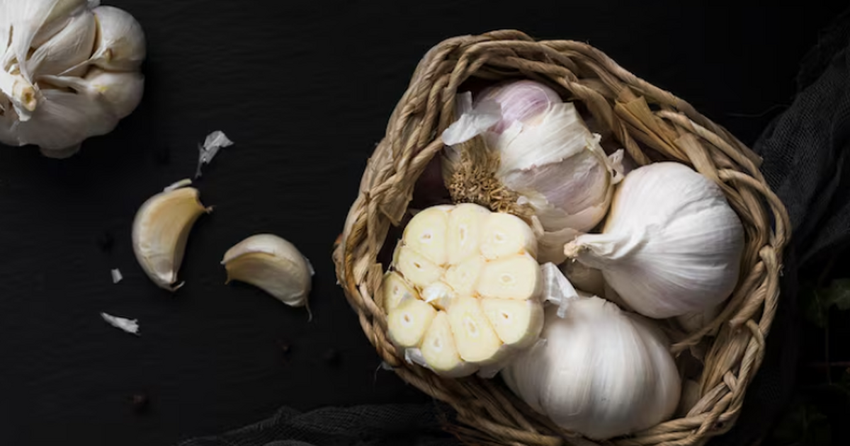 Экстракт зрелого чеснока может замедлять возрас...