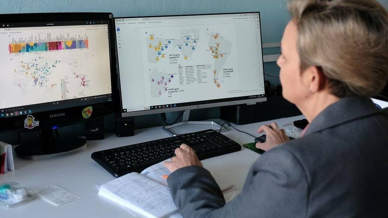 Таковы результаты исследования ученых Сибирског...