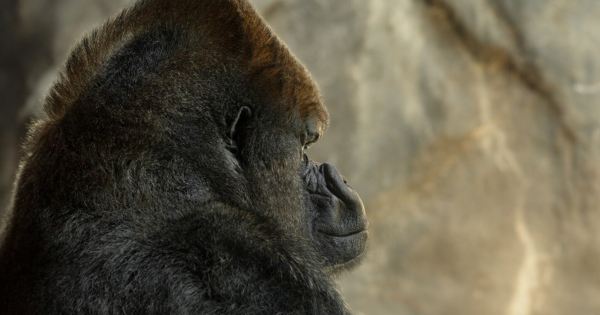 Группа ученых представила результаты археологич...