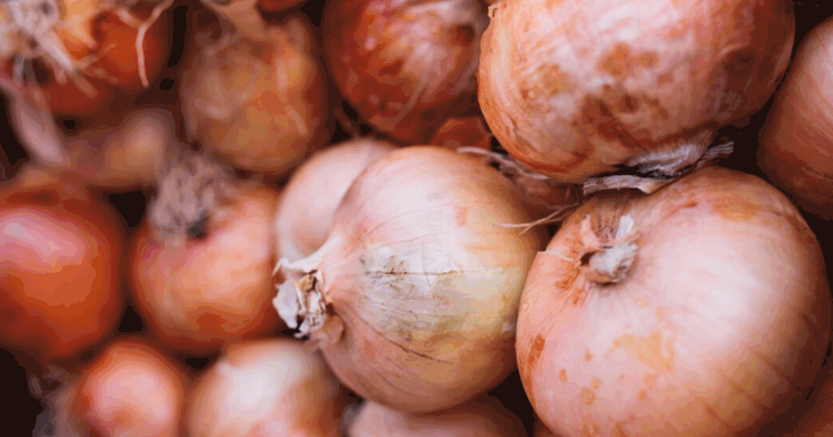 Есть дачные лайфхаки, которые звучат слишком пр...