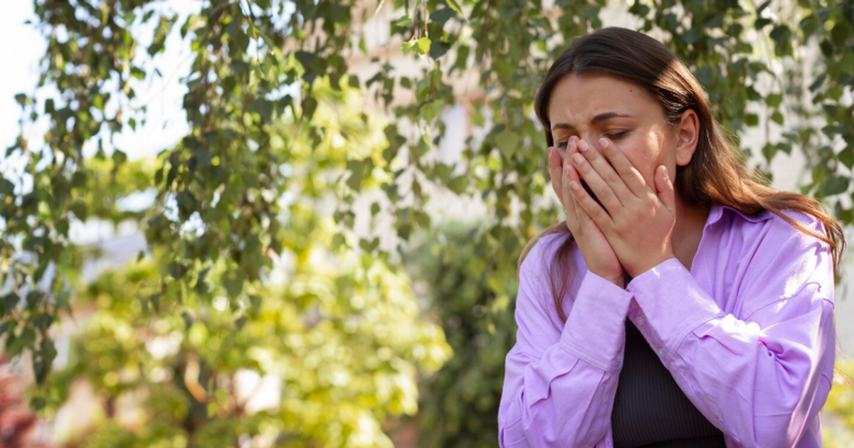 В НовГУ создали программу для предварительной самодиагностики аллергии Ученые разработали программный комплекс «Аллерг...