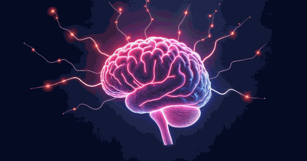BMC Psychology: в мозге людей с заиканием выявили неожиданные изменения Учёные изучили мозг людей с заиканием и нашли и...