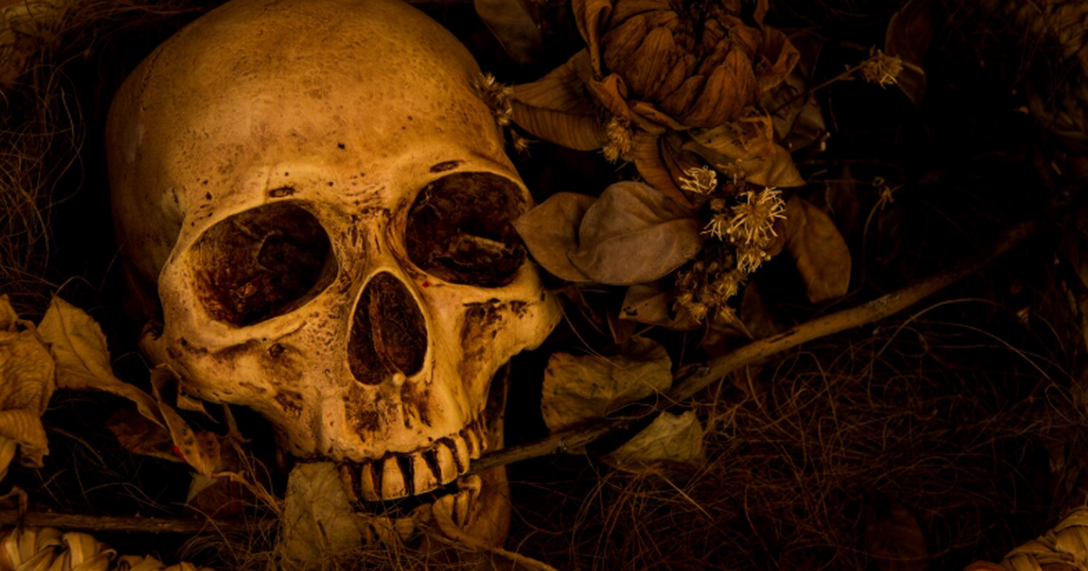 В Перу впервые найден трофейный череп с врождённой заячьей губой В археологии Анд зафиксирован уникальный случай...