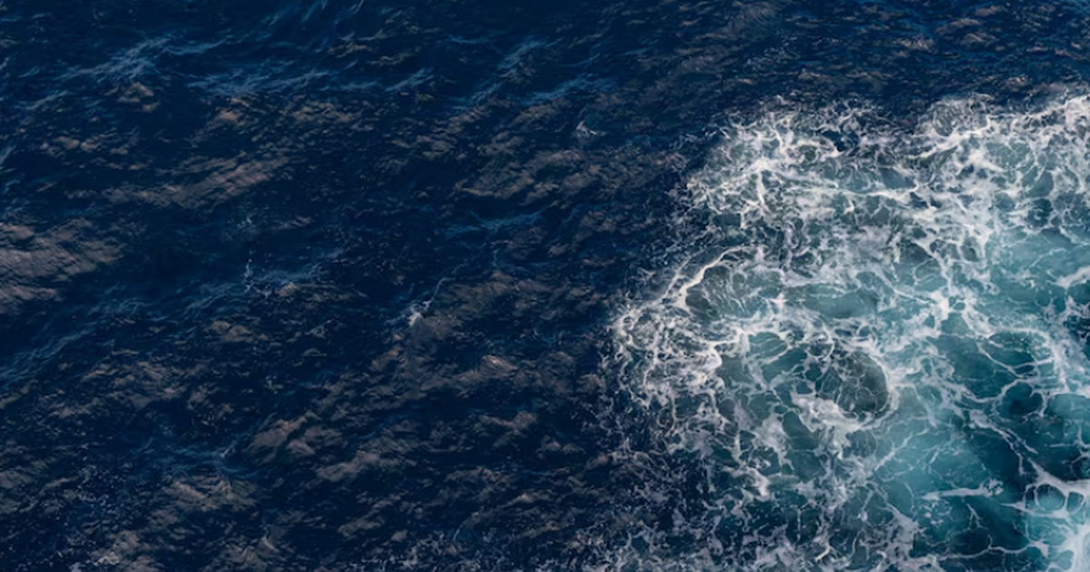 Океанолог Филипп Сапожников объяснил, что сельд...