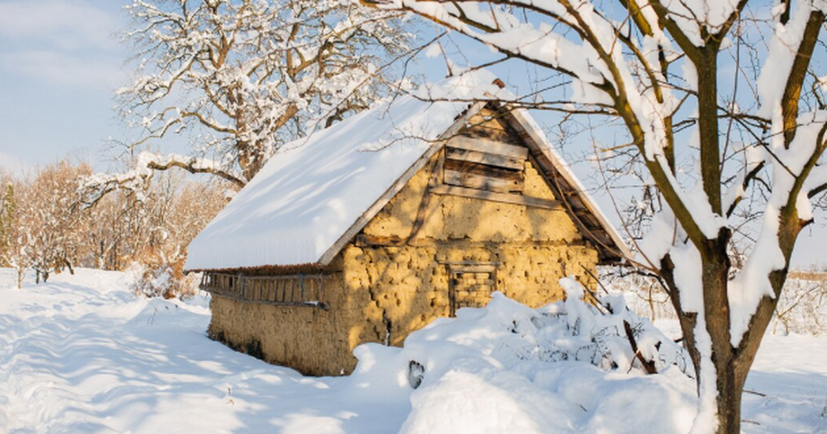 Февраль на даче — не остановка, а точка старта: именно сейчас решается, каким будет сезон Февраль на даче: тихая подготовка к богатому се...