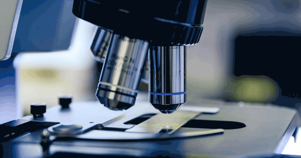 Учёные обнаружили древних паразитов в римских н...