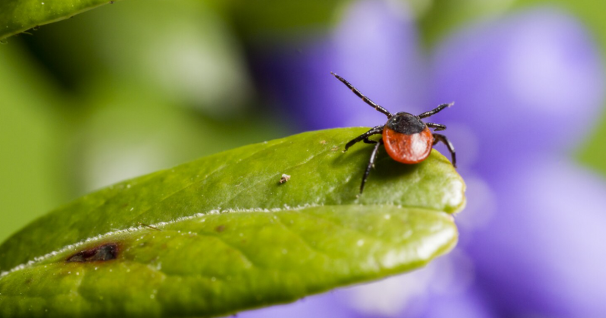 Более 53% российских врачей фиксировали летальн...