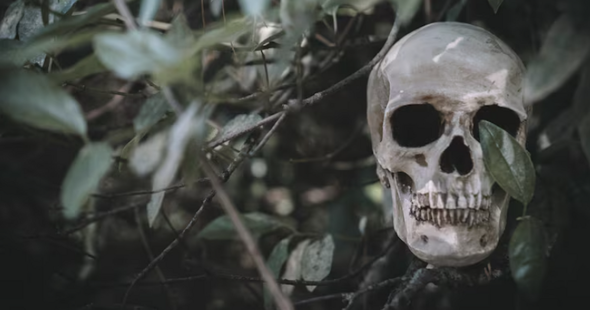 Череп защитника Ла‑Ломы подтвердил: римляне прибивали головы врагов к стенам Исследование дало редкое материальное подтвержд...