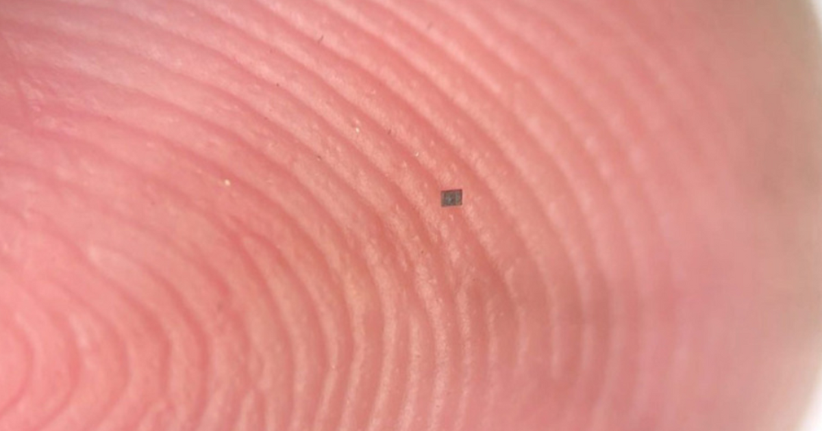 Созданы самые маленькие в мире автономные роботы размером с крупинку соли Ученые представили полностью программируемые ав...