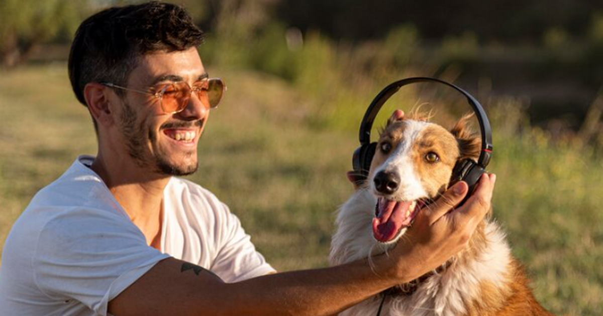 Люди и животные показали совпадение в музыкальных предпочтениях Онлайн-эксперимент показал, что вкусы людей в з...