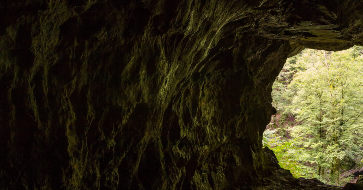 Исследование в PNAS показало, что неандертальцы...