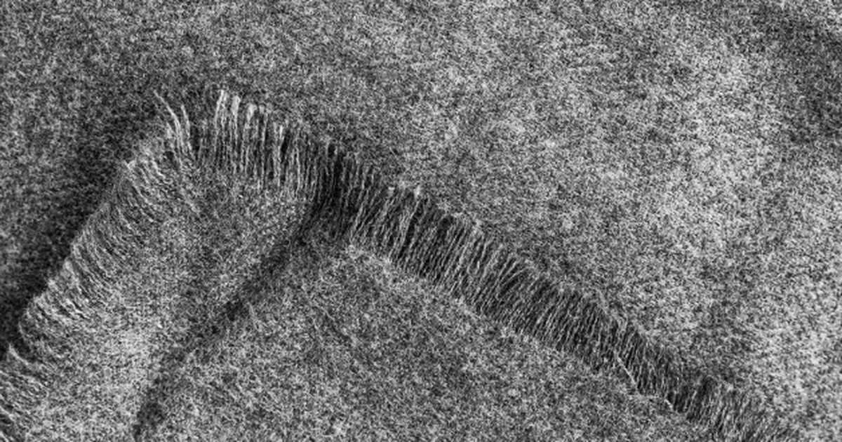 Посыпала на ковер и поработала щеткой: точно не остается ни пылинки, ни шерсти Не хочется возиться с «химией» и тратиться на с...