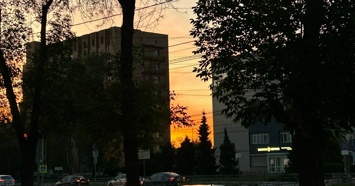 Управляющую компанию «Грасс» в Самаре могут лишить лицензии за нарушения Об этом шла речь на оперативном заседании прави...