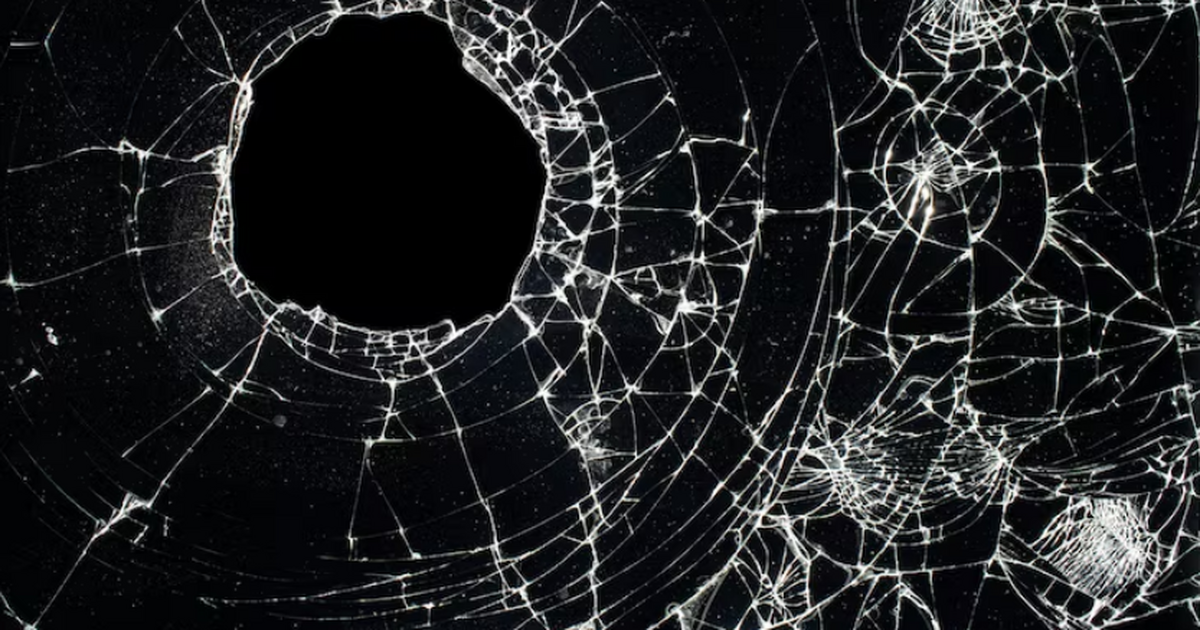 Ученый предложил универсальный закон, описывающ...