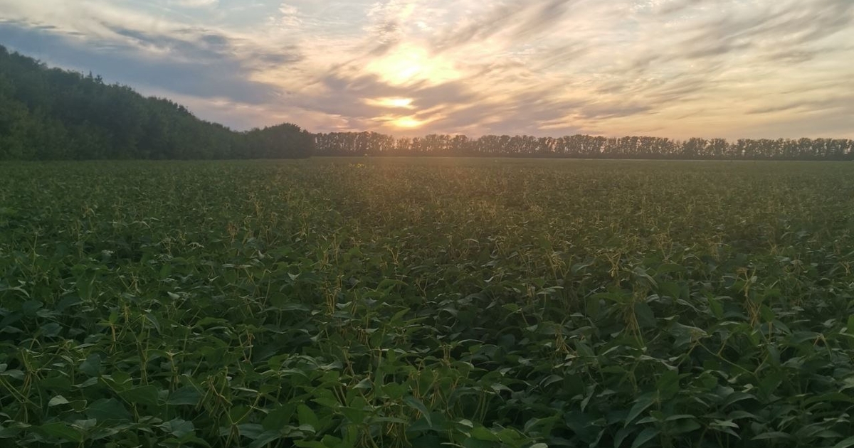 Специалисты выявили несоблюдение дозировок преп...