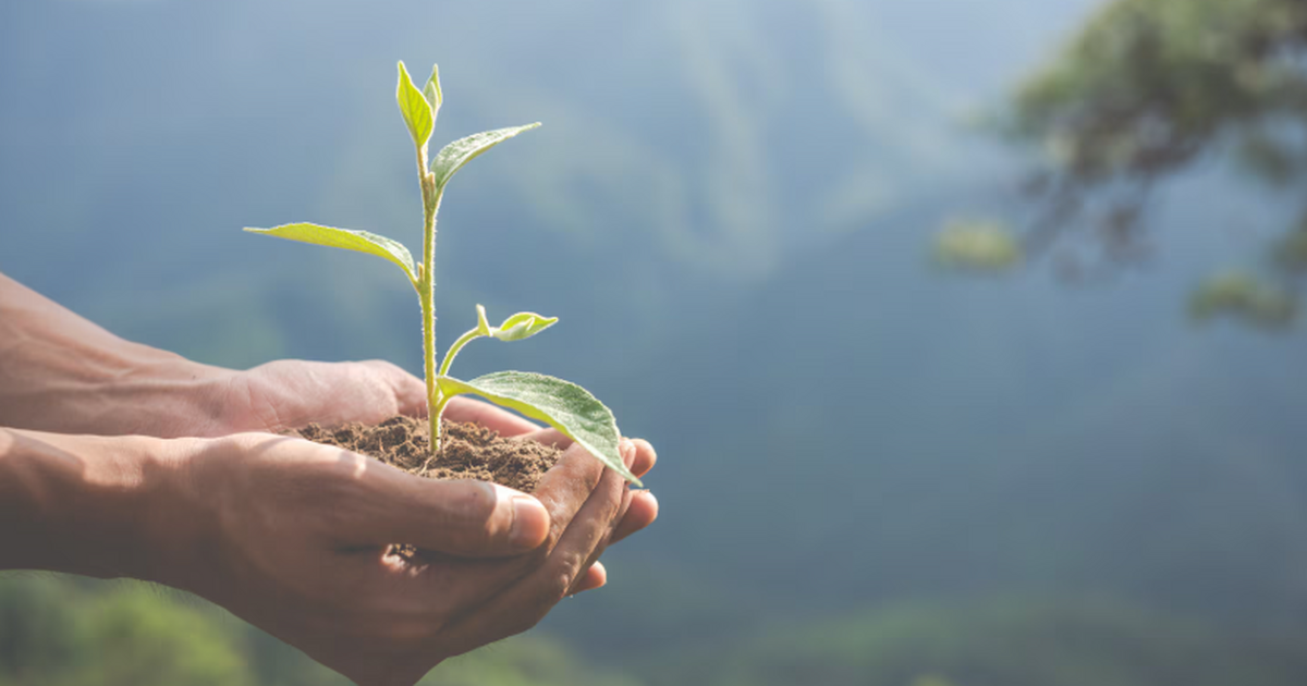 Предложили внедрить в Якутии разработанную вузо...