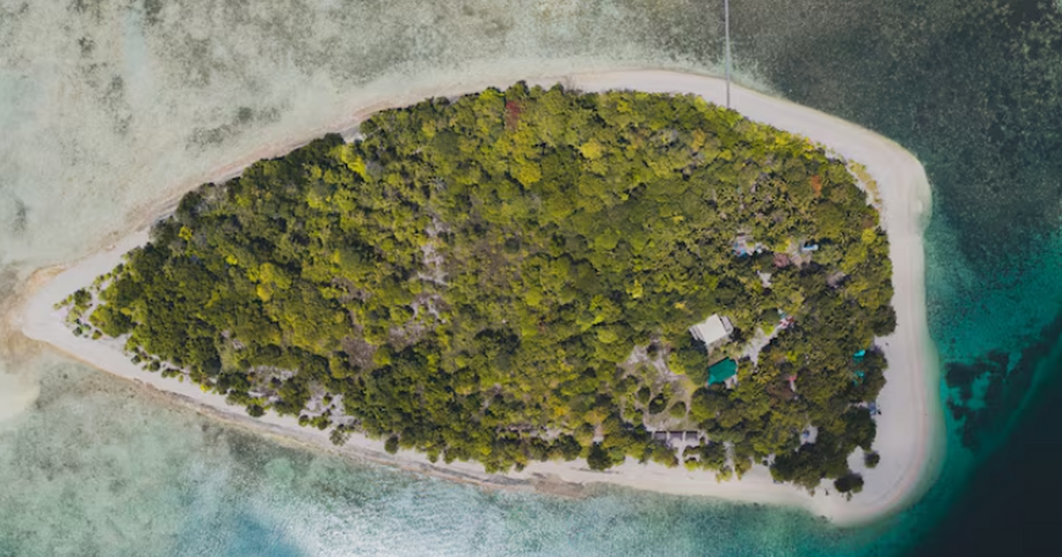 80‑летняя туристка погибла после того, как её з...