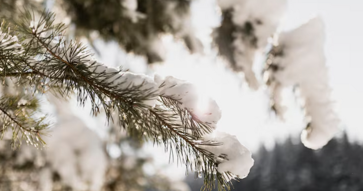 Синоптики: Известна дата начала первых снегопадов в Самаре Жителям Самары готовьтесь к резкому похолоданию...