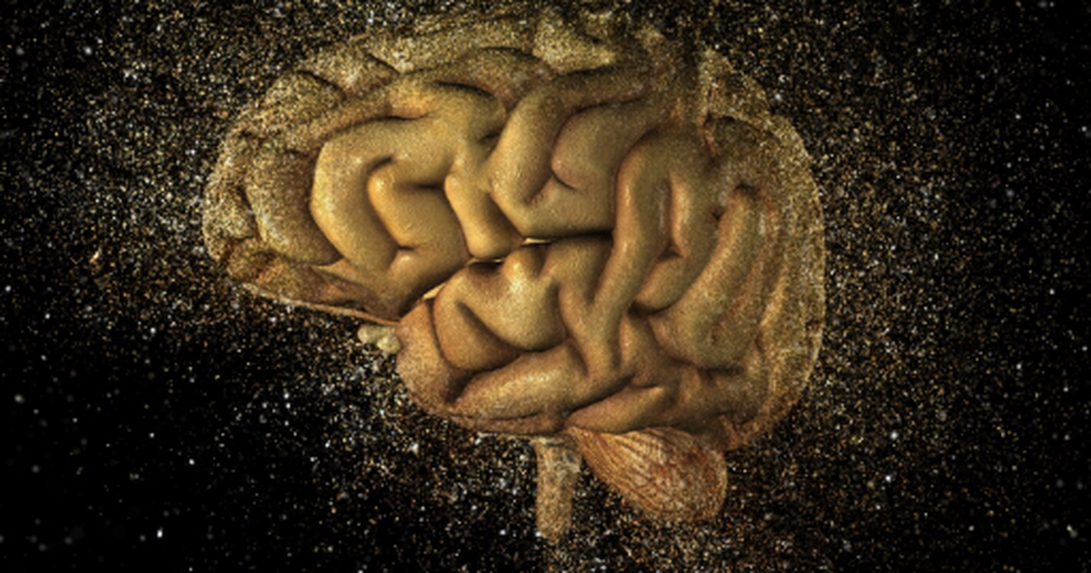 PsyPost сообщает, что исследования мозга Альбер...