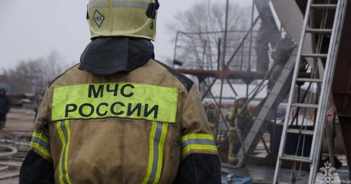 Тренировки студентов выполняют важную профориен...