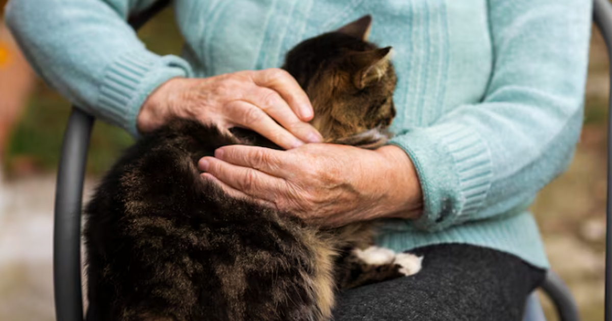 Пожилая женщина, откликнувшаяся на объявление о...