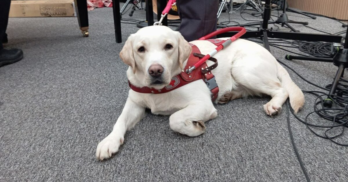 Действует новая мера поддержки для инвалидов по...