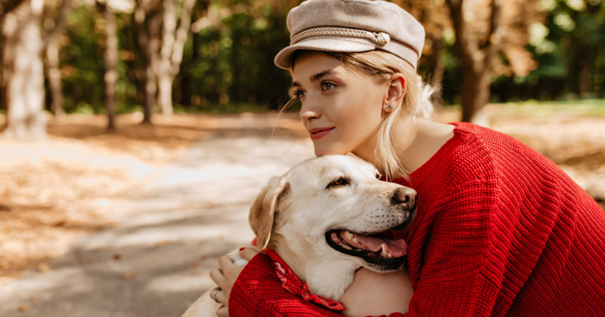 Новая клещевая инфекция обнаружена у собак и опасна для людей Учёные описали ранее неизвестный вид риккетсий,...