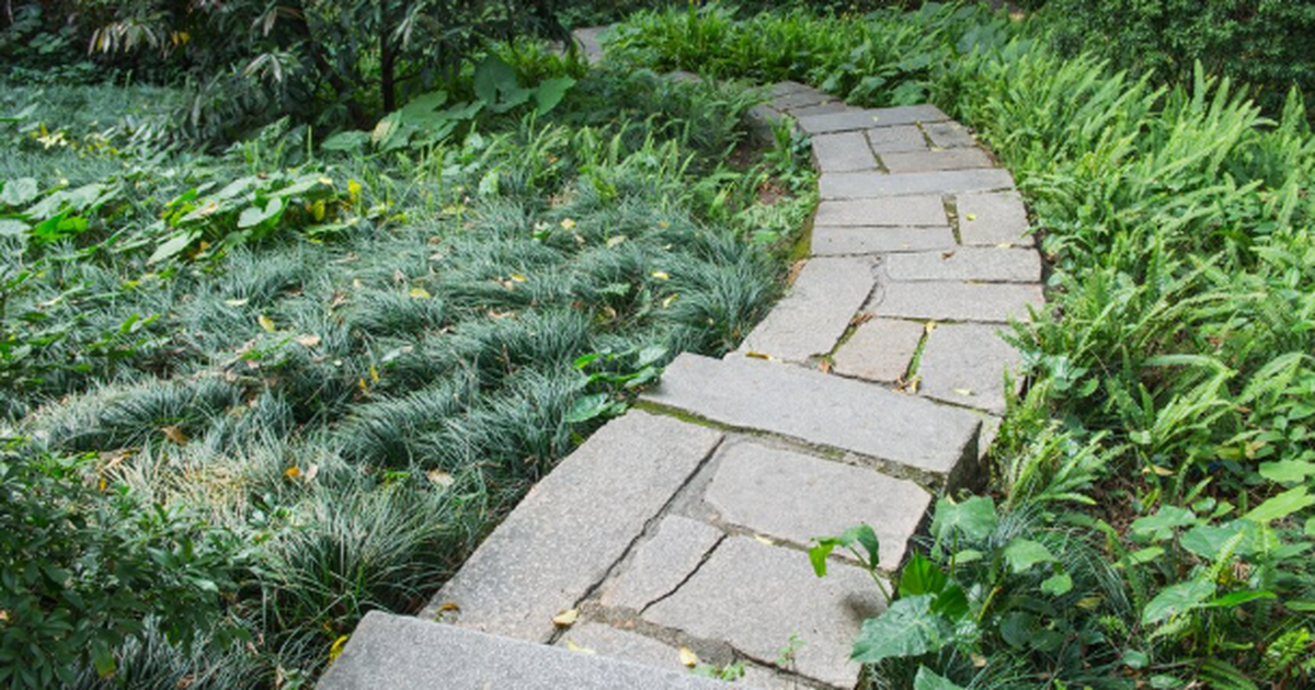 Соорудил дорожку на даче, по которой ни в гололед, ни в дождь ходить не страшно - так делают умные хозяева Шаткие плитки, скользкие ступени после дождя и ...