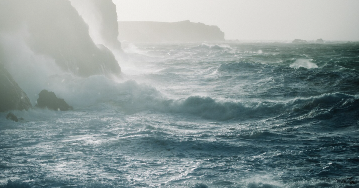 Исследование ИПФ РАН и ННГУ показало, что морск...