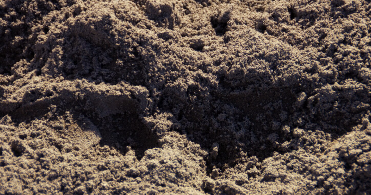 Новосибирские ученые снизили энергозатраты на осушение грунта в 11 раз Специалисты НГТУ предложили использовать переме...