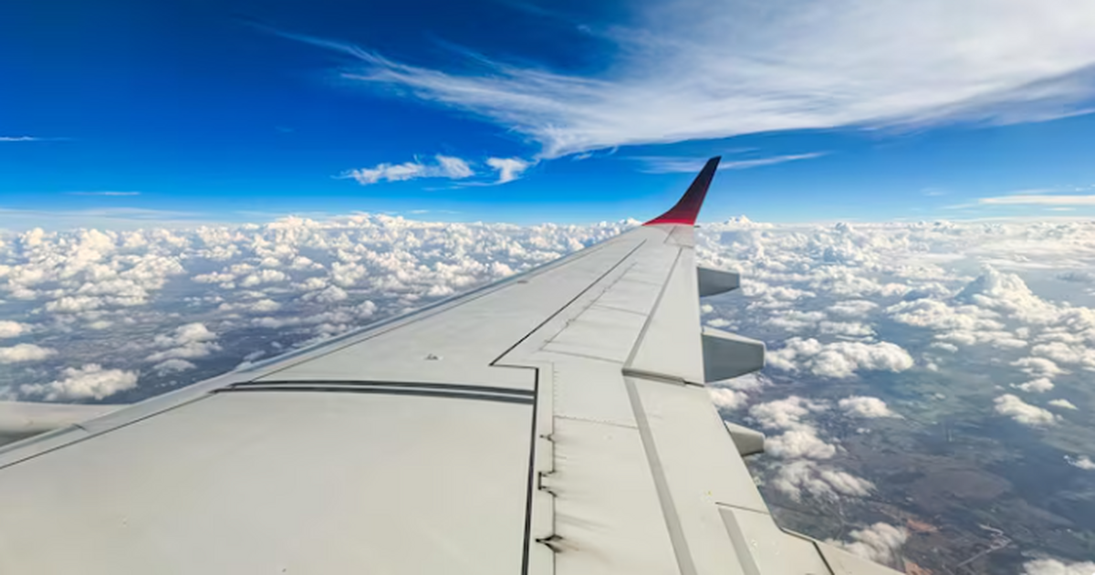 Сервисы продаж билетов отмечают, что Калинингра...