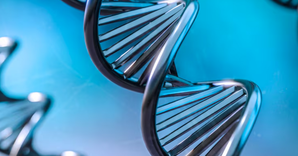 Загадка Дзёмон: почему у древних японцев оказалось так мало денисовских генов Международная группа провела системный палеоген...