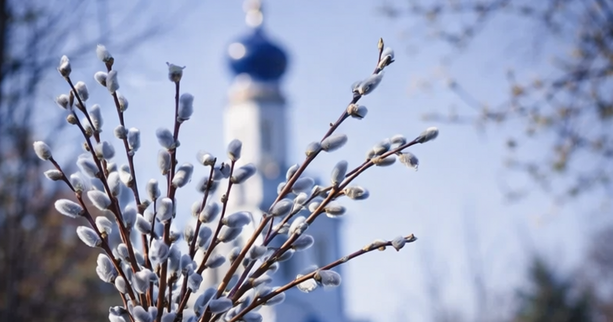 Вербная неделя 2026: что строго нельзя делать — важные традиции и приметы Вербная неделя перед Пасхой: главные правила 20...