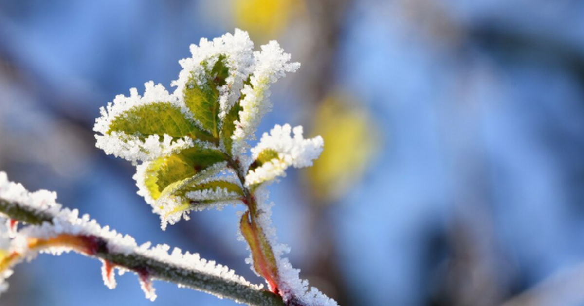Ноябрь вошёл в историю: второй самый тёплый в е...