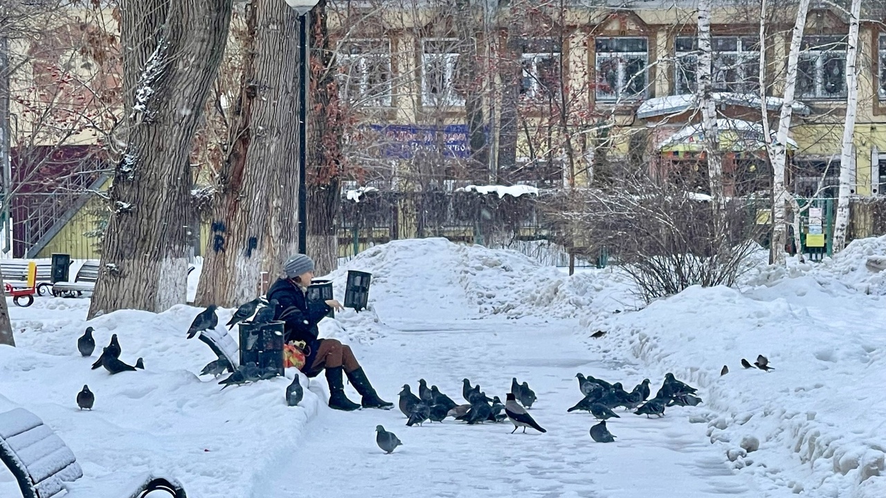 Наибольшие трудности ожидаются в северных регио...