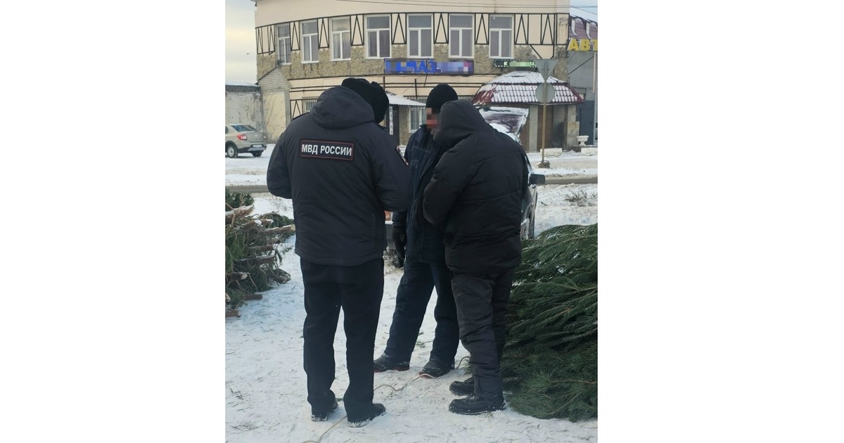 Полицейские проводят операцию "Профилактика"