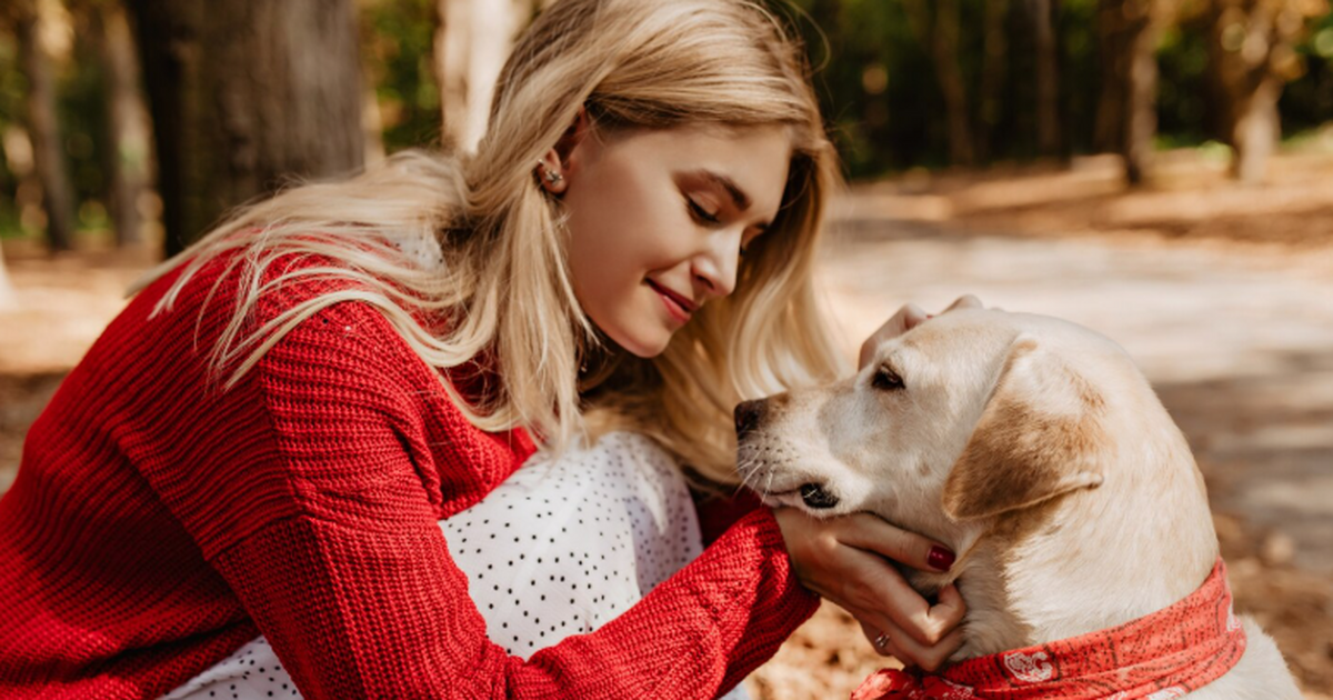 Собаки способны запоминать слова, подслушивая р...