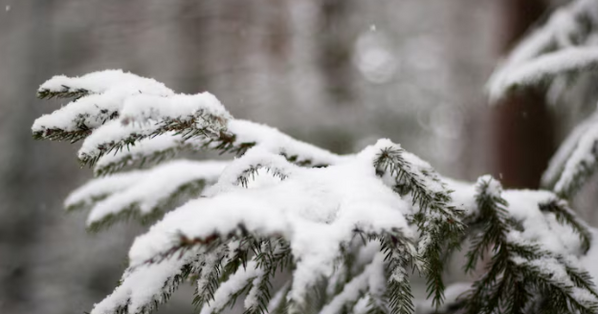 Аномальный холод в Самарской области: правила з...