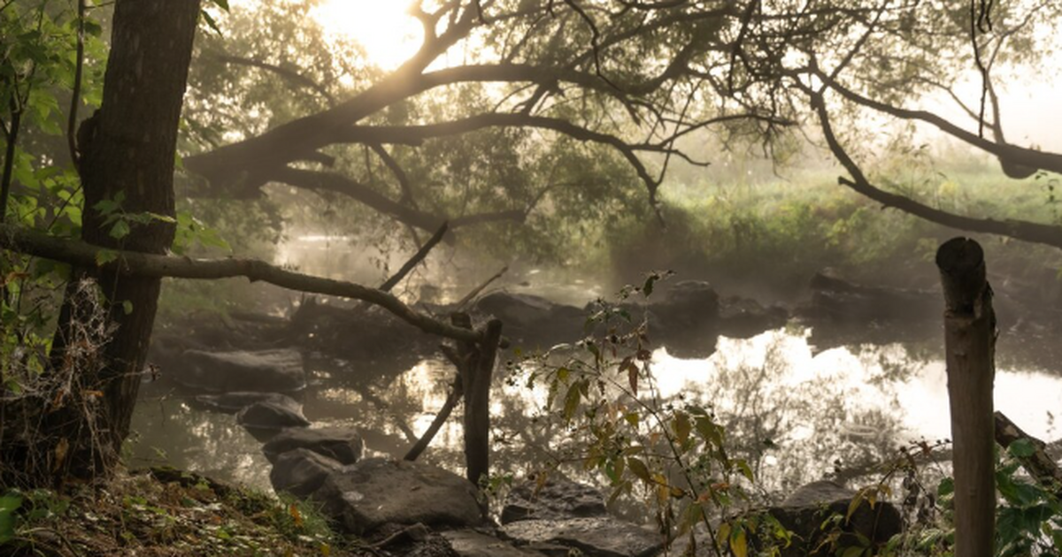 Новое исследование, опубликованное в журнале Na...