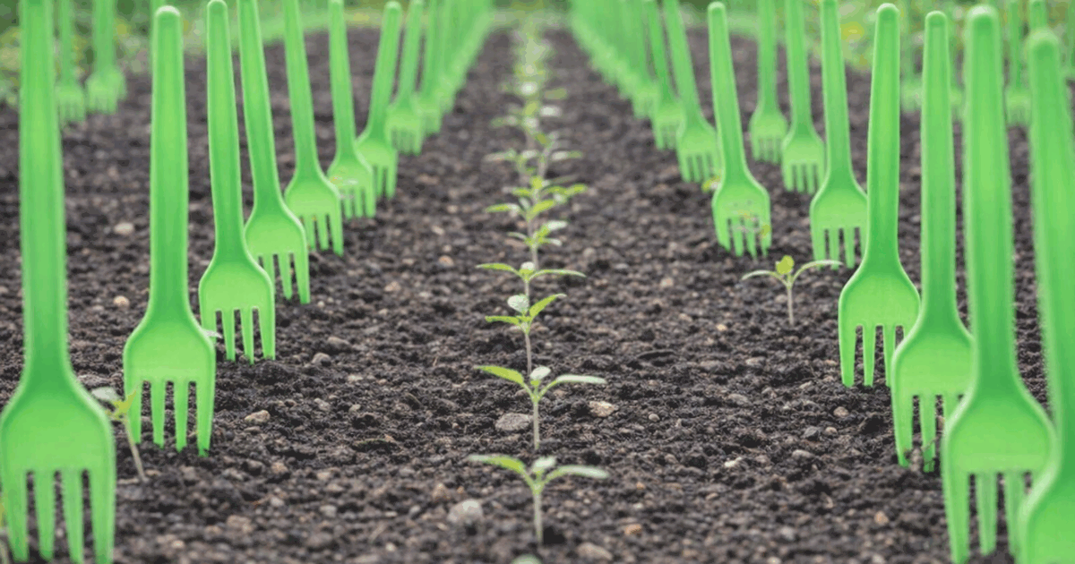 Обычные пластиковые вилки спасают урожай: лайфх...