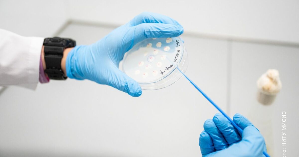 Гель способен эффективно бороться с зубным нале...